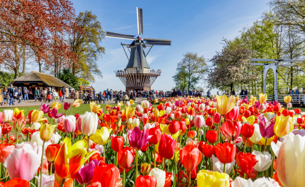 Keukenhof jardins de tulipes accessible PMR Pays-Bas